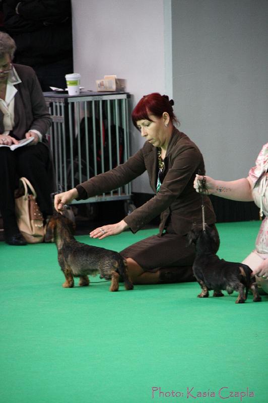 Crufts2011_2 640.jpg